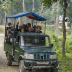 2024-10 - Népal - J11 - Parc National de Chitwan - 032